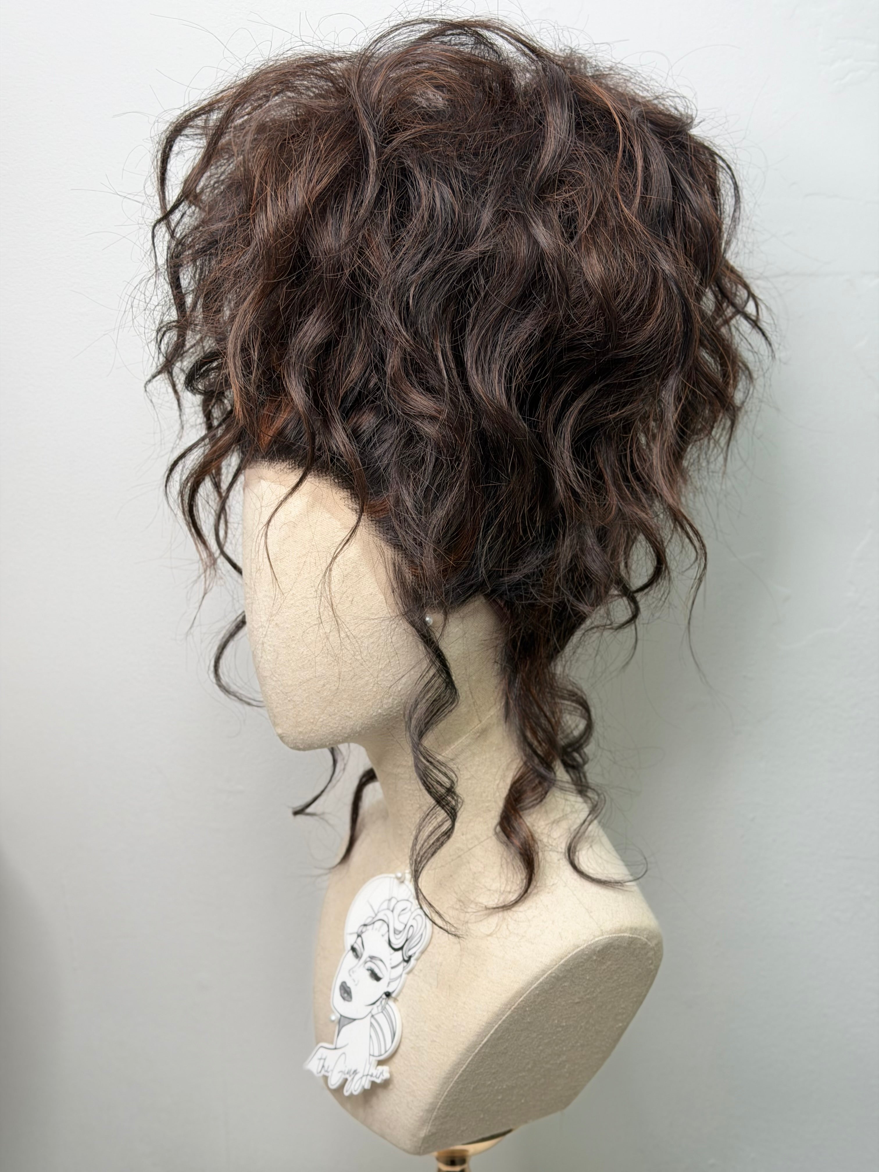 Classy Dolly Brown Updo